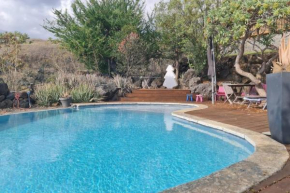 Villa Surprise avec piscine à St Leu